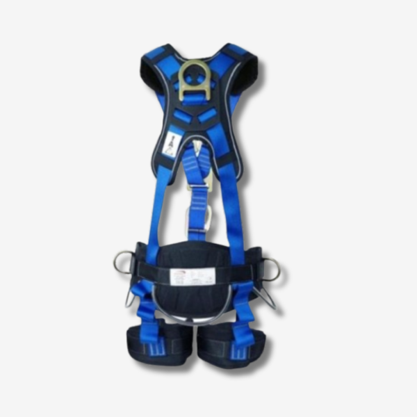 Grigri Petzl